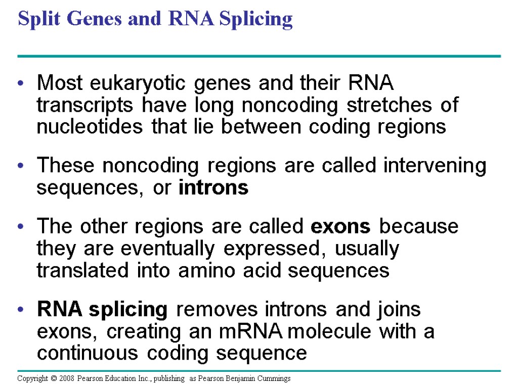 Split Genes and RNA Splicing Most eukaryotic genes and their RNA transcripts have long